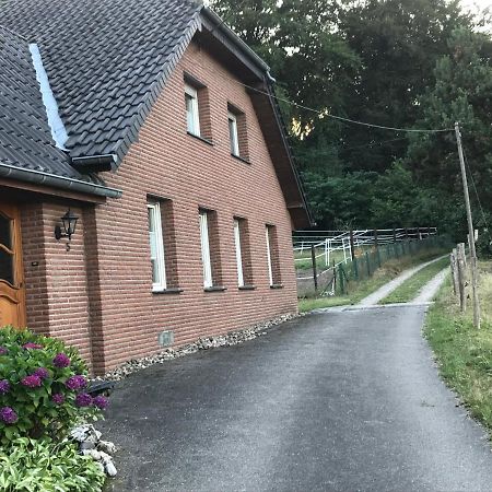 Willa Ferienhaus Mit Kamin Xanten Zewnętrze zdjęcie